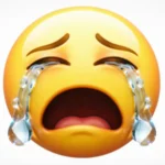 tiktok crying emoji